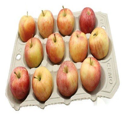 Premium Apple (100kg)