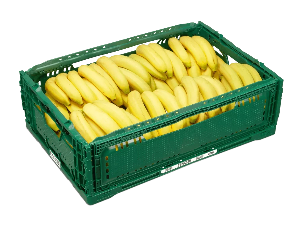 Banana Premium (18kg)